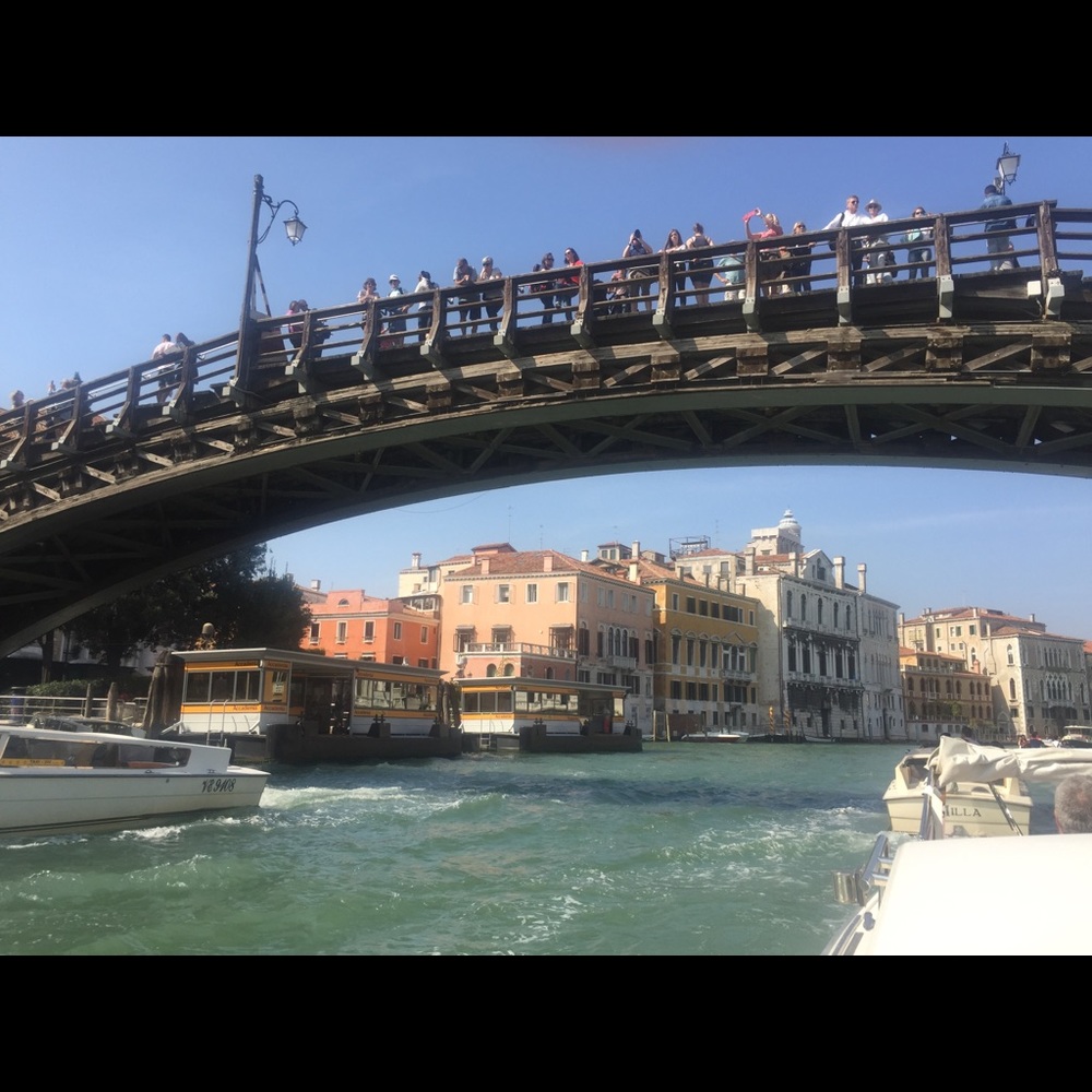 Meet your Posher, Cookie